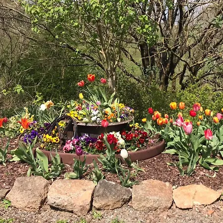 Papillons - Beauty, Comfort And Peace 25 Mins From Puy Du Fou * Montournais
