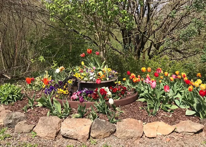 Papillons - Beauty, Comfort And Peace 25 Mins From Puy Du Fou * Montournais