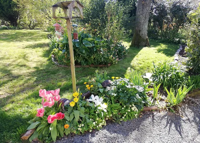 לינה וארוחת בוקר Papillons - Beauty, Comfort And Peace 25 Mins From Puy Du Fou Montournais